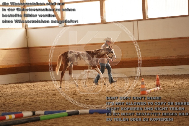 s_A_901037.JPG